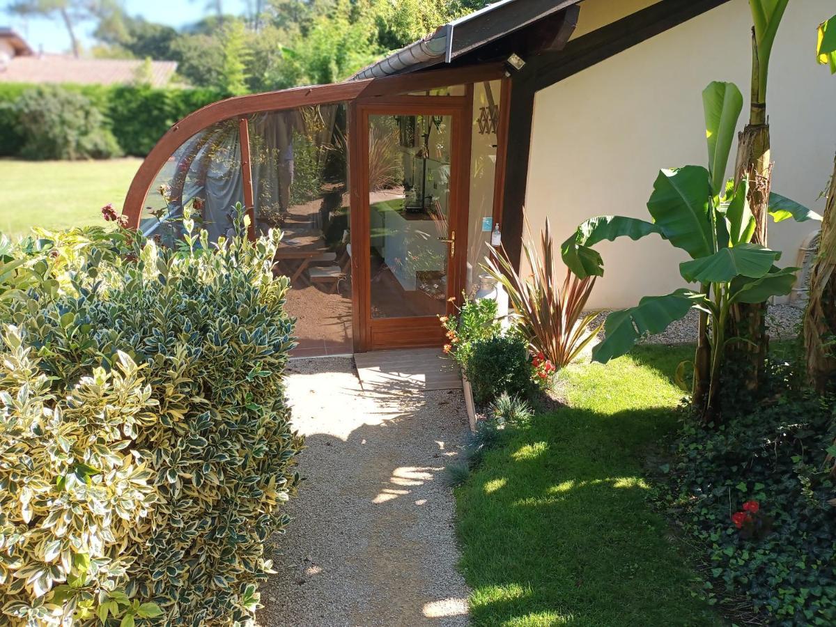 Chambre d'Hôtes L'Airial Liposthey Exterior foto